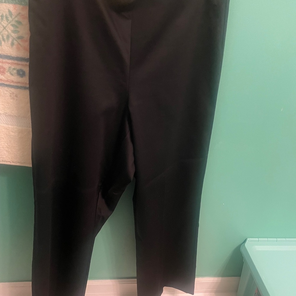 Alfred Dunner Womens 16 Pants, Pull On/ Back Elastic Waistband - Picture 2 of 16